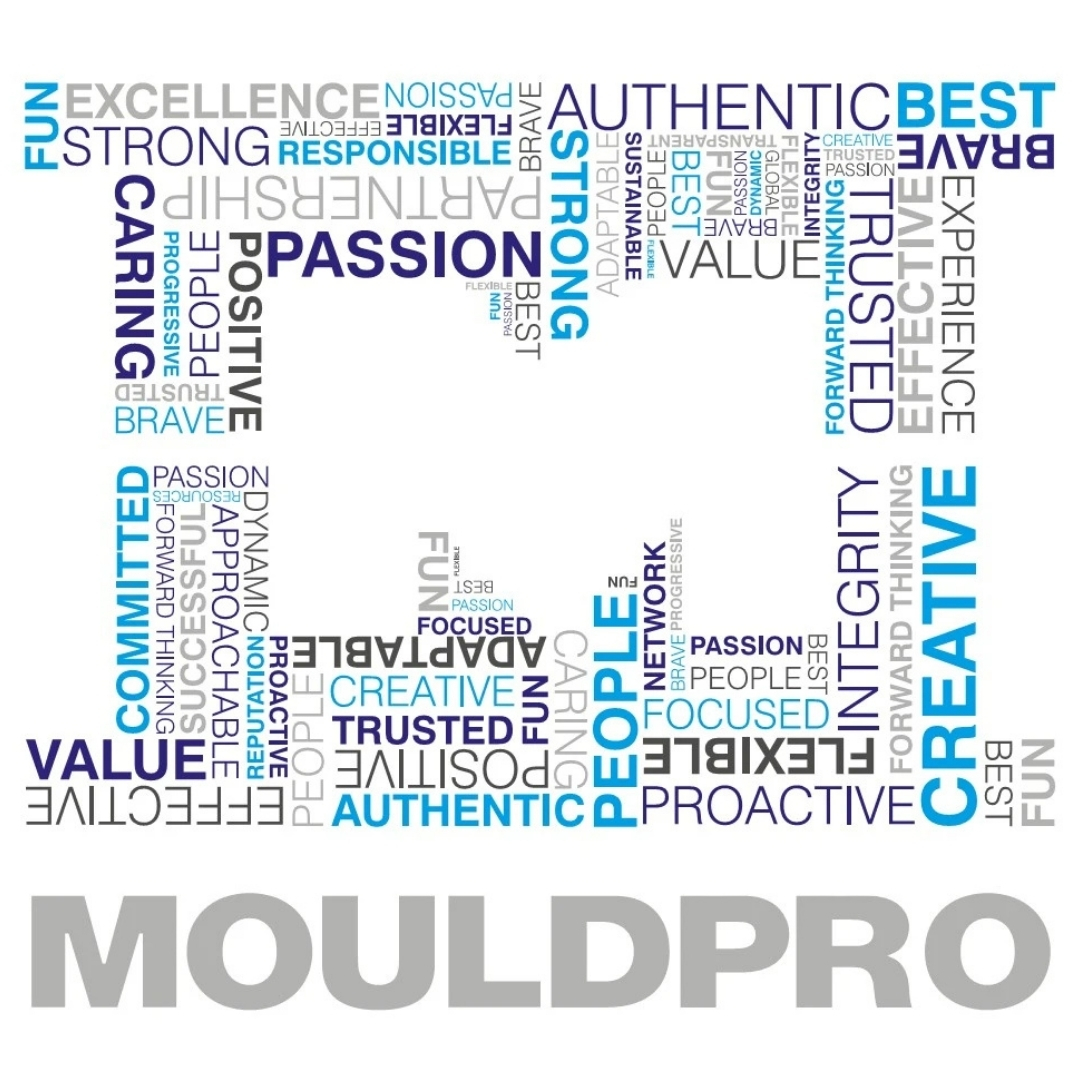 mouldpro banner