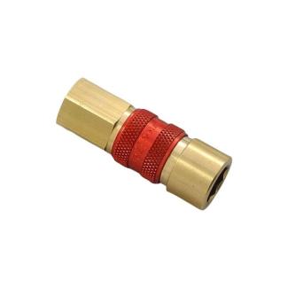 21KAIW10MPX8